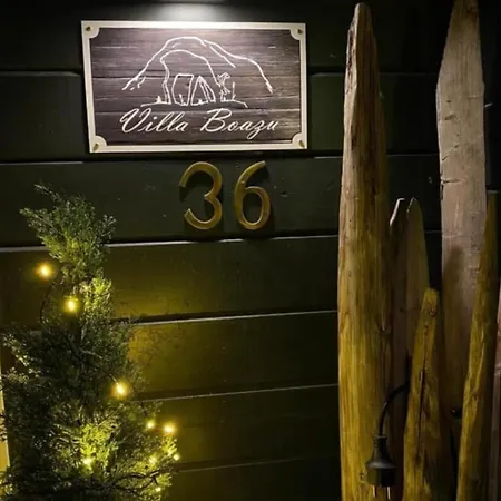 Boazu, Reindeer Villa Ylläsjärvi
